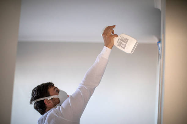 Best Mold Testing and Inspection Services in Green Oaks, IL