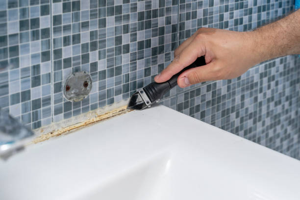 Best Mold Remediation for Specific Building Types in Green Oaks, IL